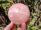 Polished Rose Quartz Spheres x 2 From Madagascar - Toprock Gemstones and Minerals 