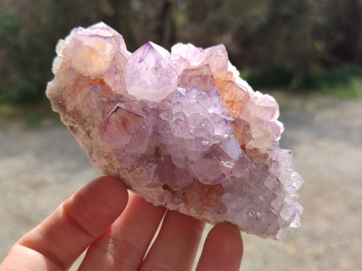 Natural Sunburst Amethyst Spirit Quartz Clusters x 3 From Boekenhouthoek, South Africa - Toprock Gemstones and Minerals 