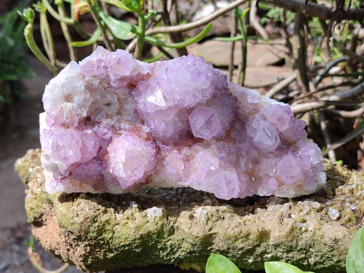 Natural Sunburst Amethyst Spirit Quartz Clusters x 3 From Boekenhouthoek, South Africa - Toprock Gemstones and Minerals 