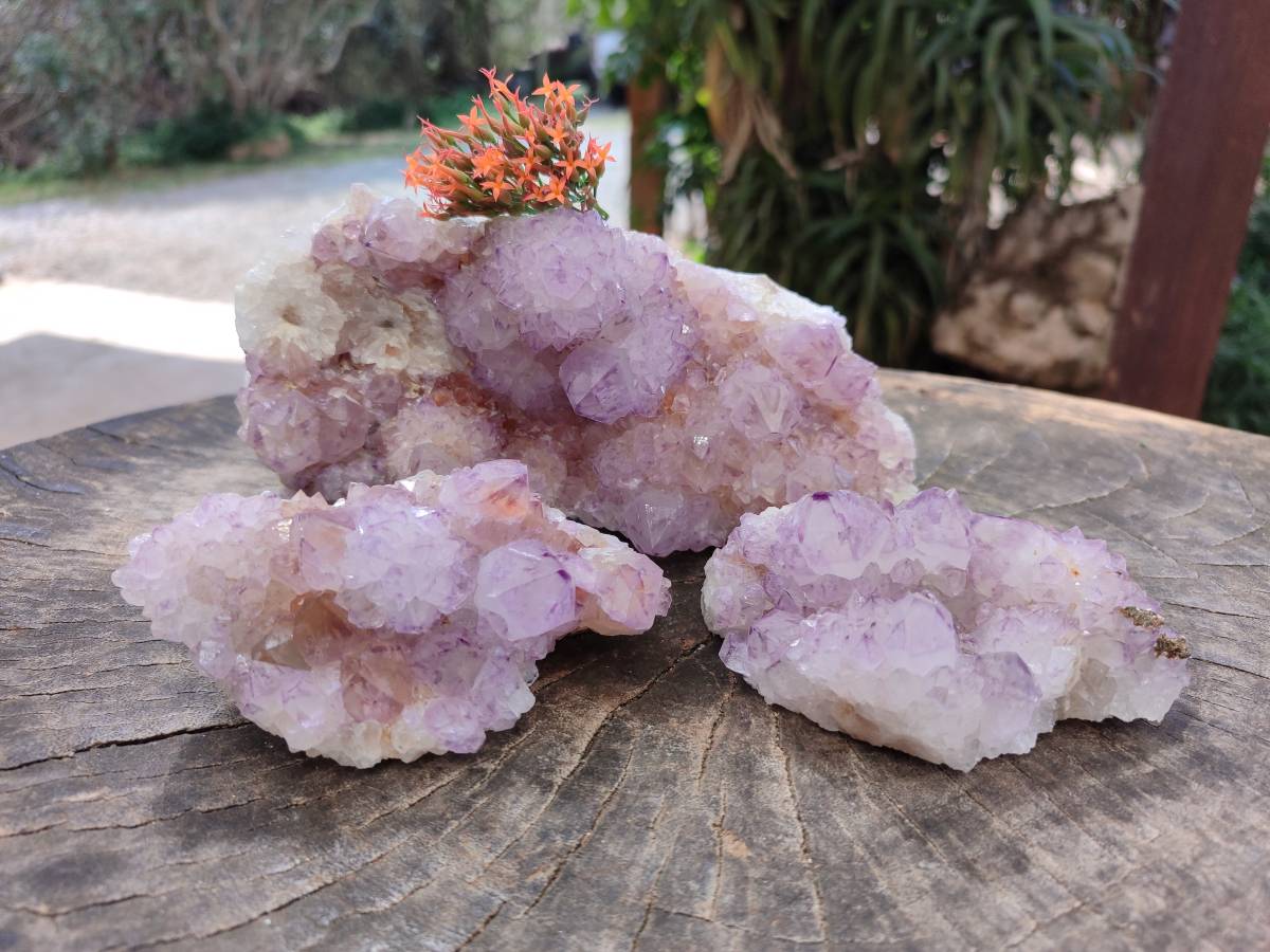 Natural Sunburst Amethyst Spirit Quartz Clusters x 3 From Boekenhouthoek, South Africa - Toprock Gemstones and Minerals 