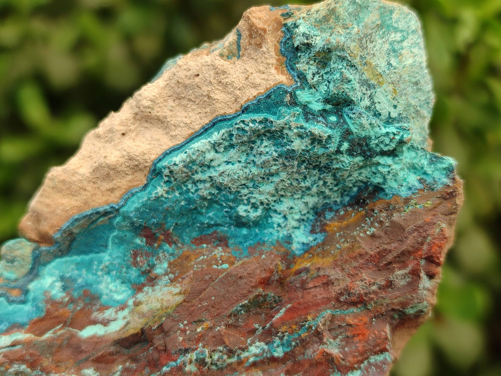 Natural Shattuckite, Chrysocolla with Malachite Specimens x 1 Lot From Koakoveld, Namibia - Toprock Gemstones and Minerals 