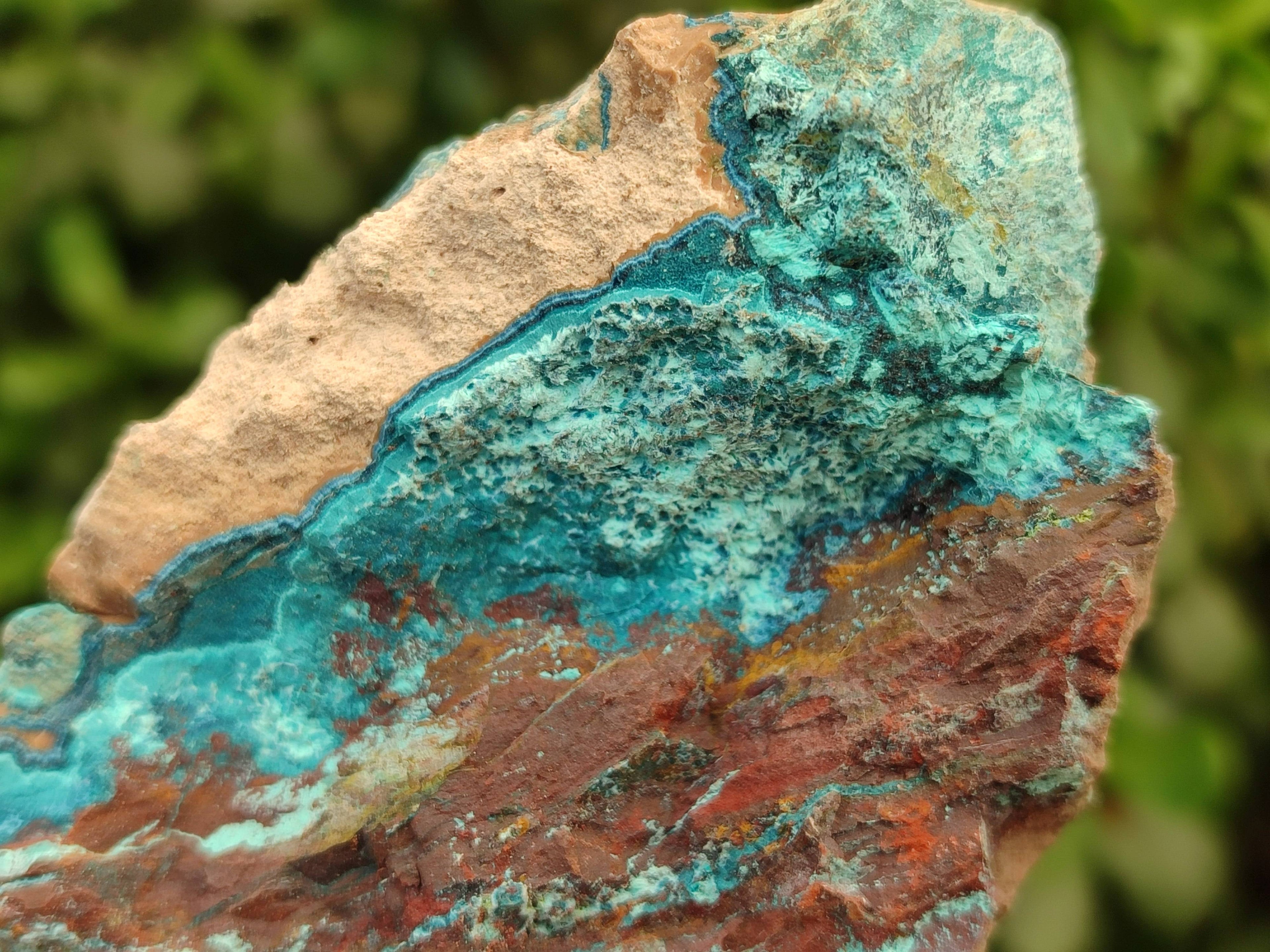 Natural Shattuckite, Chrysocolla with Malachite Specimens x 1 Lot From Koakoveld, Namibia - Toprock Gemstones and Minerals 