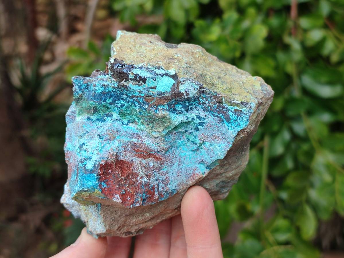Natural Shattuckite, Chrysocolla with Malachite Specimens x 1 Lot From Koakoveld, Namibia - Toprock Gemstones and Minerals 