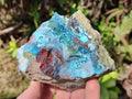 Natural Shattuckite, Chrysocolla with Malachite Specimens x 1 Lot From Koakoveld, Namibia - Toprock Gemstones and Minerals 