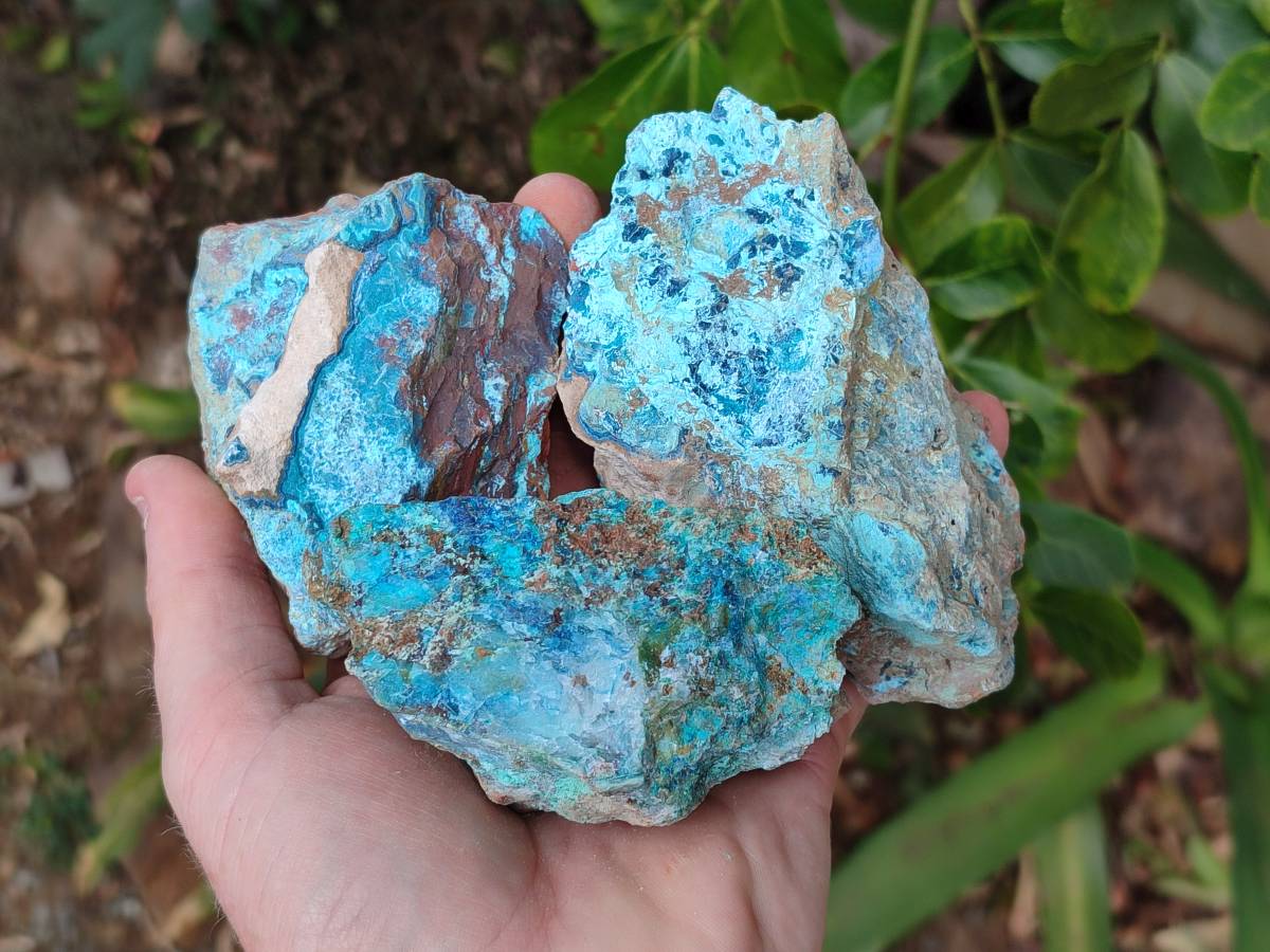 Natural Shattuckite, Chrysocolla with Malachite Specimens x 1 Lot From Koakoveld, Namibia - Toprock Gemstones and Minerals 