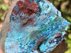 Natural Shattuckite, Chrysocolla with Malachite Specimens x 1 Lot From Koakoveld, Namibia - Toprock Gemstones and Minerals 