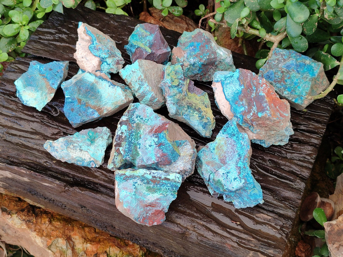 Natural Shattuckite, Chrysocolla with Malachite Specimens x 1 Lot From Koakoveld, Namibia - Toprock Gemstones and Minerals 