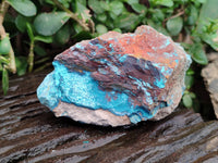 Natural Shattuckite, Chrysocolla with Malachite Specimens x 1 Lot From Koakoveld, Namibia - Toprock Gemstones and Minerals 