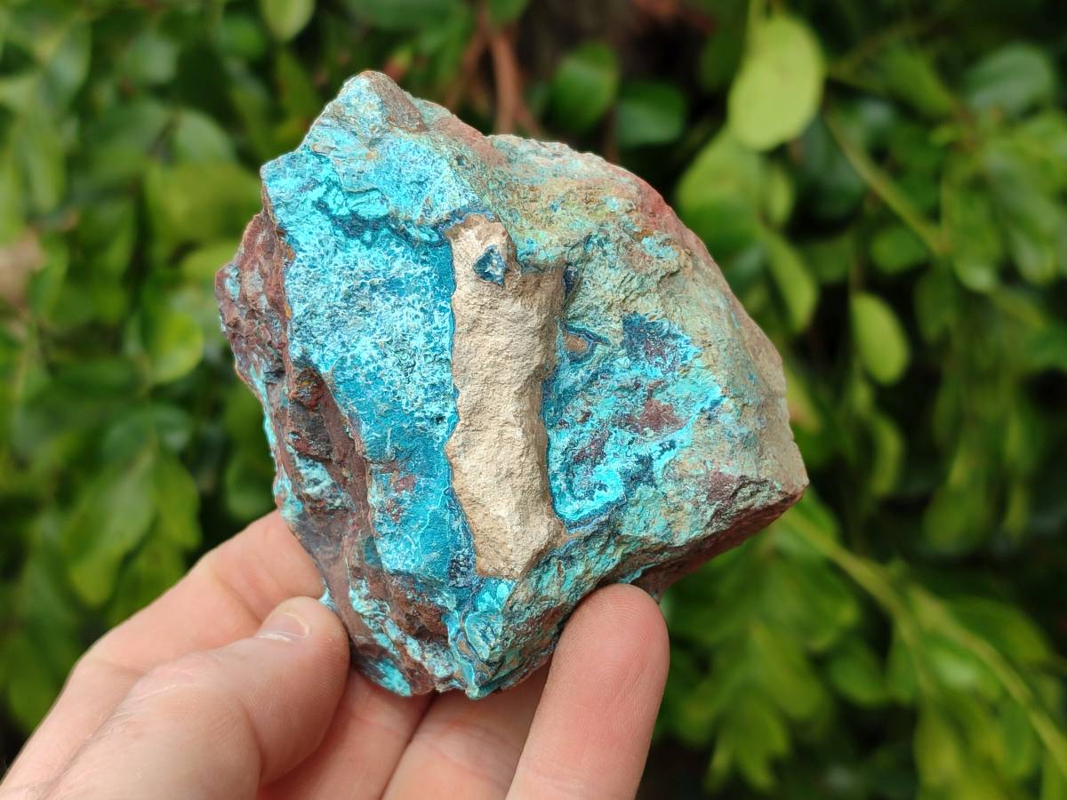 Natural Shattuckite, Chrysocolla with Malachite Specimens x 1 Lot From Koakoveld, Namibia - Toprock Gemstones and Minerals 