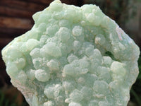 Natural Botryoidal Prehnite Specimens x 2 From Beaufort West, South Africa - Toprock Gemstones and Minerals 