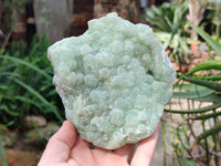 Natural Botryoidal Prehnite Specimens x 2 From Beaufort West, South Africa - Toprock Gemstones and Minerals 