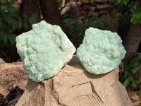 Natural Botryoidal Prehnite Specimens x 2 From Beaufort West, South Africa - Toprock Gemstones and Minerals 