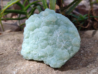 Natural Botryoidal Prehnite Specimens x 2 From Beaufort West, South Africa - Toprock Gemstones and Minerals 