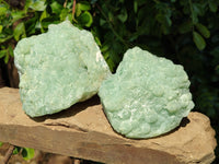 Natural Botryoidal Prehnite Specimens x 2 From Beaufort West, South Africa - Toprock Gemstones and Minerals 