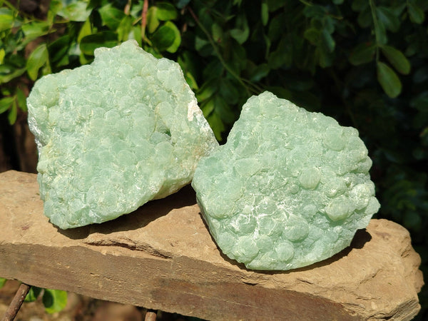 Natural Botryoidal Prehnite Specimens x 2 From Beaufort West, South Africa - Toprock Gemstones and Minerals 
