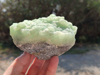 Natural Botryoidal Prehnite Specimens x 2 From Beaufort West, South Africa - Toprock Gemstones and Minerals 