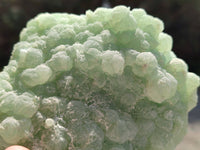 Natural Botryoidal Prehnite Specimens x 2 From Beaufort West, South Africa - Toprock Gemstones and Minerals 