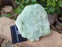 Natural Botryoidal Prehnite Specimens x 2 From Beaufort West, South Africa - Toprock Gemstones and Minerals 