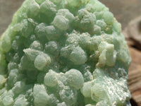 Natural Botryoidal Prehnite Specimens x 2 From Beaufort West, South Africa - Toprock Gemstones and Minerals 