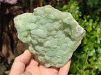 Natural Botryoidal Prehnite Specimens x 2 From Beaufort West, South Africa - Toprock Gemstones and Minerals 