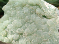 Natural Botryoidal Prehnite Specimens x 2 From Beaufort West, South Africa - Toprock Gemstones and Minerals 