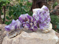 Natural Dark and Chevron Amethyst Clusters x 6 From Mapatizya, Zambia - Toprock Gemstones and Minerals 