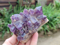Natural Dark and Chevron Amethyst Clusters x 6 From Mapatizya, Zambia - Toprock Gemstones and Minerals 