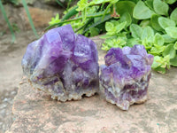Natural Dark and Chevron Amethyst Clusters x 6 From Mapatizya, Zambia - Toprock Gemstones and Minerals 