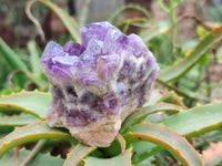 Natural Dark and Chevron Amethyst Clusters x 6 From Mapatizya, Zambia - Toprock Gemstones and Minerals 