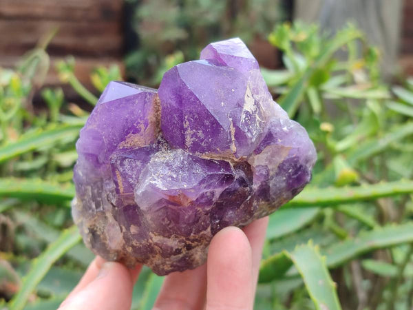 Natural Dark and Chevron Amethyst Clusters x 6 From Mapatizya, Zambia - Toprock Gemstones and Minerals 
