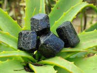 Natural Alluvial Schorl Black Tourmaline Crystals x 1.44 Kg Lot From Zimbabwe - Toprock Gemstones and Minerals 