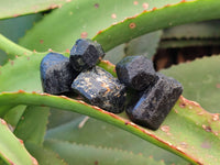 Natural Alluvial Schorl Black Tourmaline Crystals x 1.44 Kg Lot From Zimbabwe - Toprock Gemstones and Minerals 