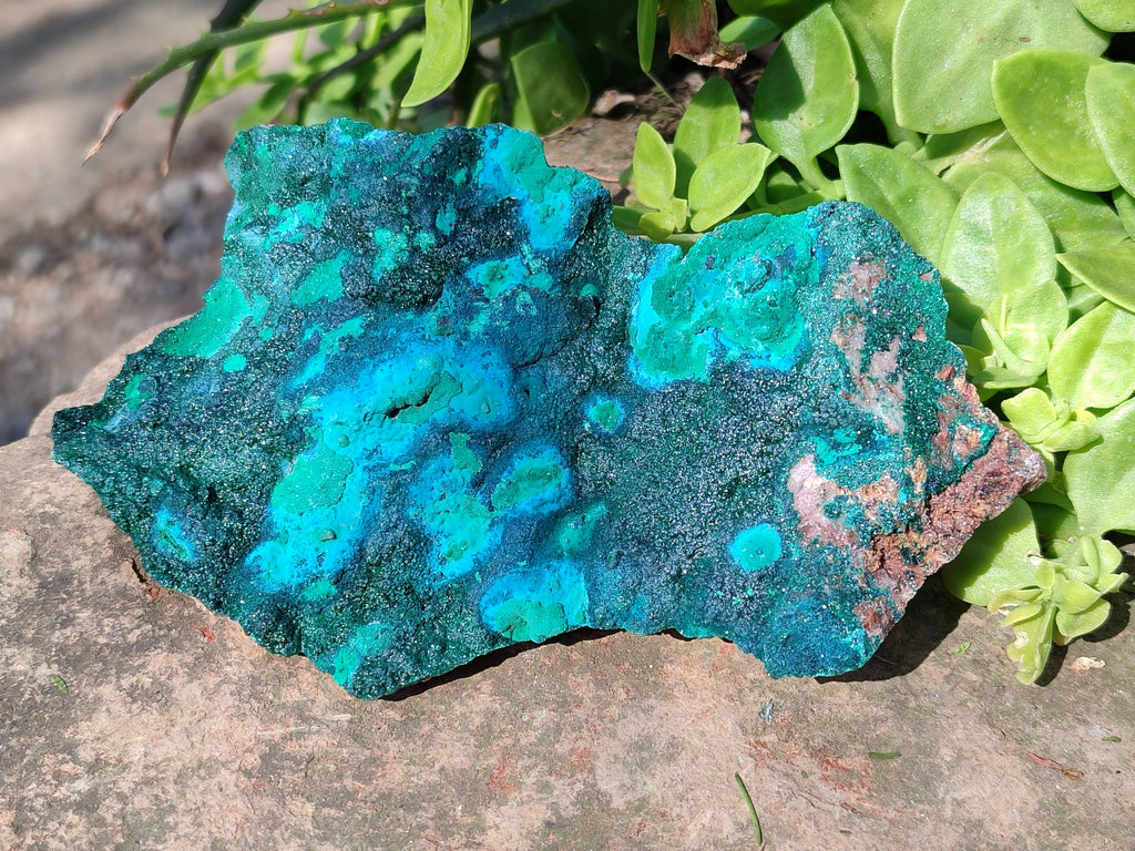 Natural Crystalline Malachite with Chrysocolla x 2 From Tenke Fungurume, Congo - Toprock Gemstones and Minerals 