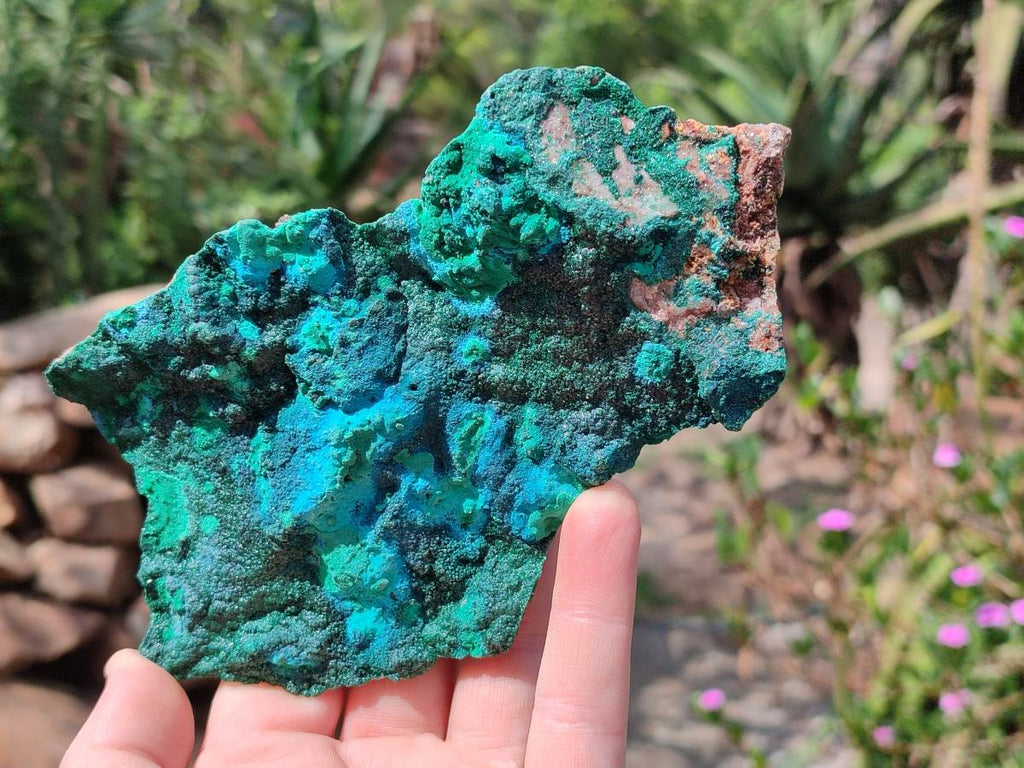 Natural Crystalline Malachite with Chrysocolla x 2 From Tenke Fungurume, Congo - Toprock Gemstones and Minerals 