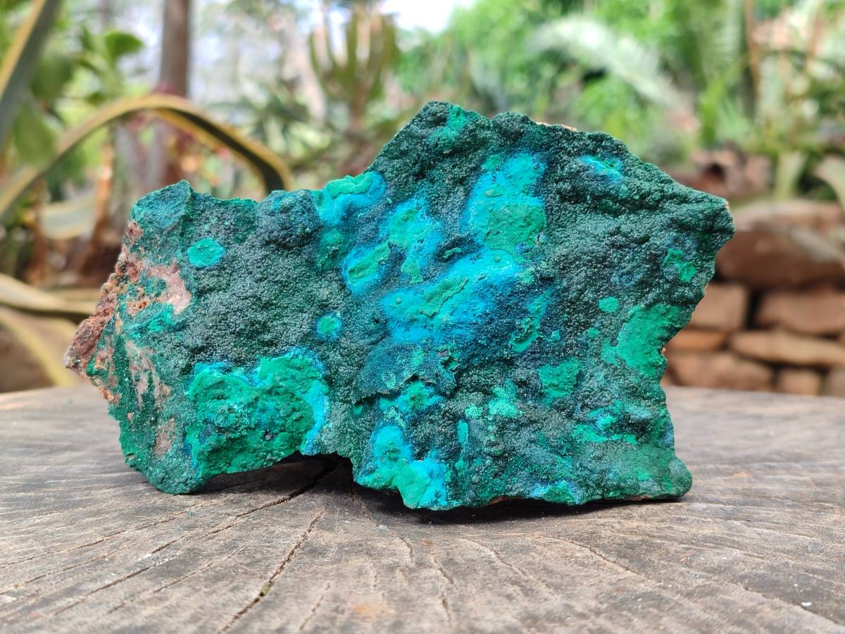 Natural Crystalline Malachite with Chrysocolla x 2 From Tenke Fungurume, Congo - Toprock Gemstones and Minerals 