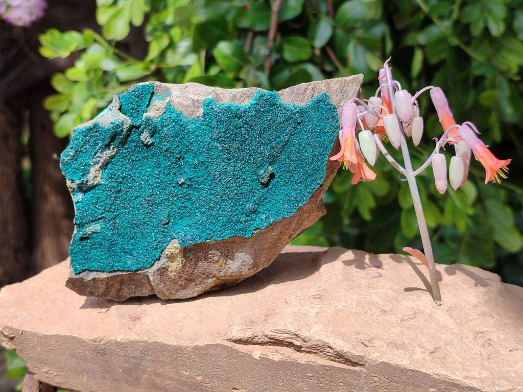 Natural Crystalline Malachite with Chrysocolla x 2 From Tenke Fungurume, Congo - Toprock Gemstones and Minerals 