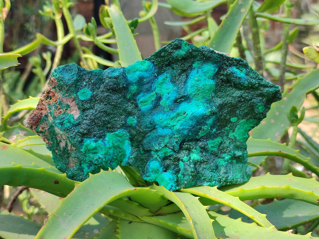Natural Crystalline Malachite with Chrysocolla x 2 From Tenke Fungurume, Congo - Toprock Gemstones and Minerals 
