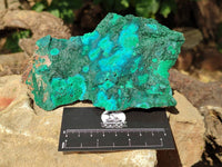 Natural Crystalline Malachite with Chrysocolla x 2 From Tenke Fungurume, Congo - Toprock Gemstones and Minerals 