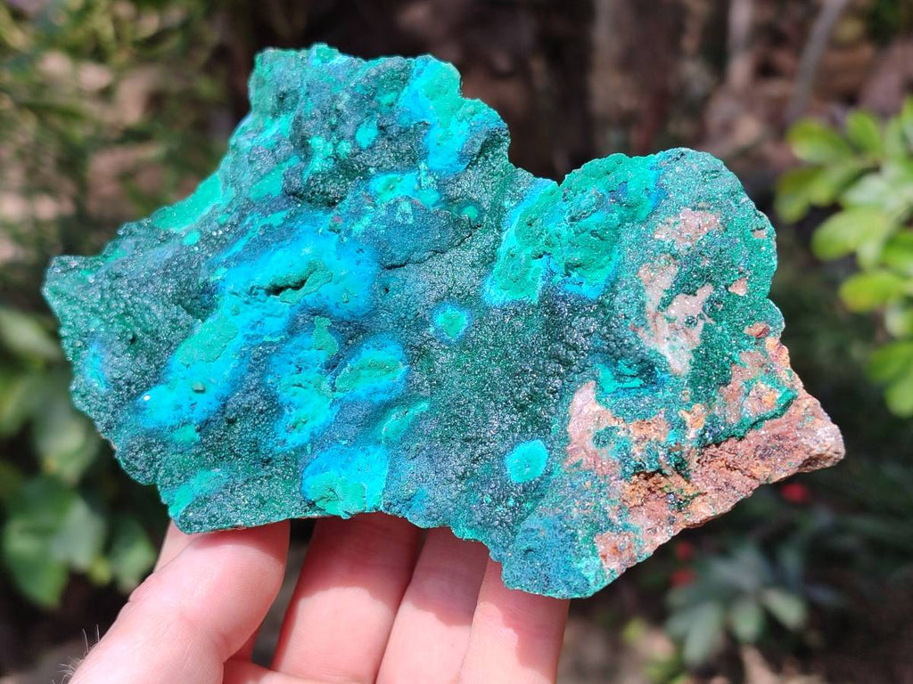 Natural Crystalline Malachite with Chrysocolla x 2 From Tenke Fungurume, Congo - Toprock Gemstones and Minerals 