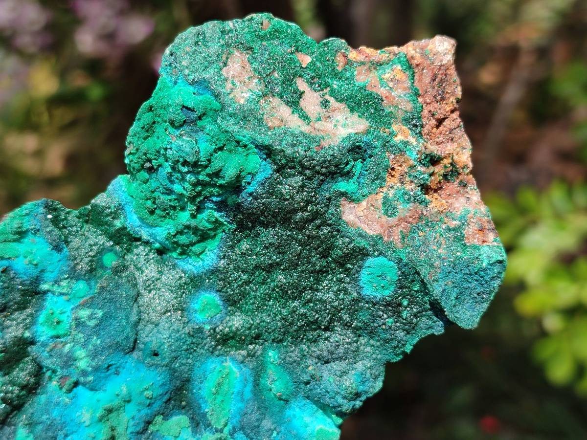 Natural Crystalline Malachite with Chrysocolla x 2 From Tenke Fungurume, Congo - Toprock Gemstones and Minerals 