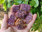 Natural Amethystos Amethyst Clusters x 35 From Kwaggafontein, South Africa - Toprock Gemstones and Minerals 