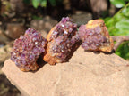 Natural Amethystos Amethyst Clusters x 35 From Kwaggafontein, South Africa - Toprock Gemstones and Minerals 