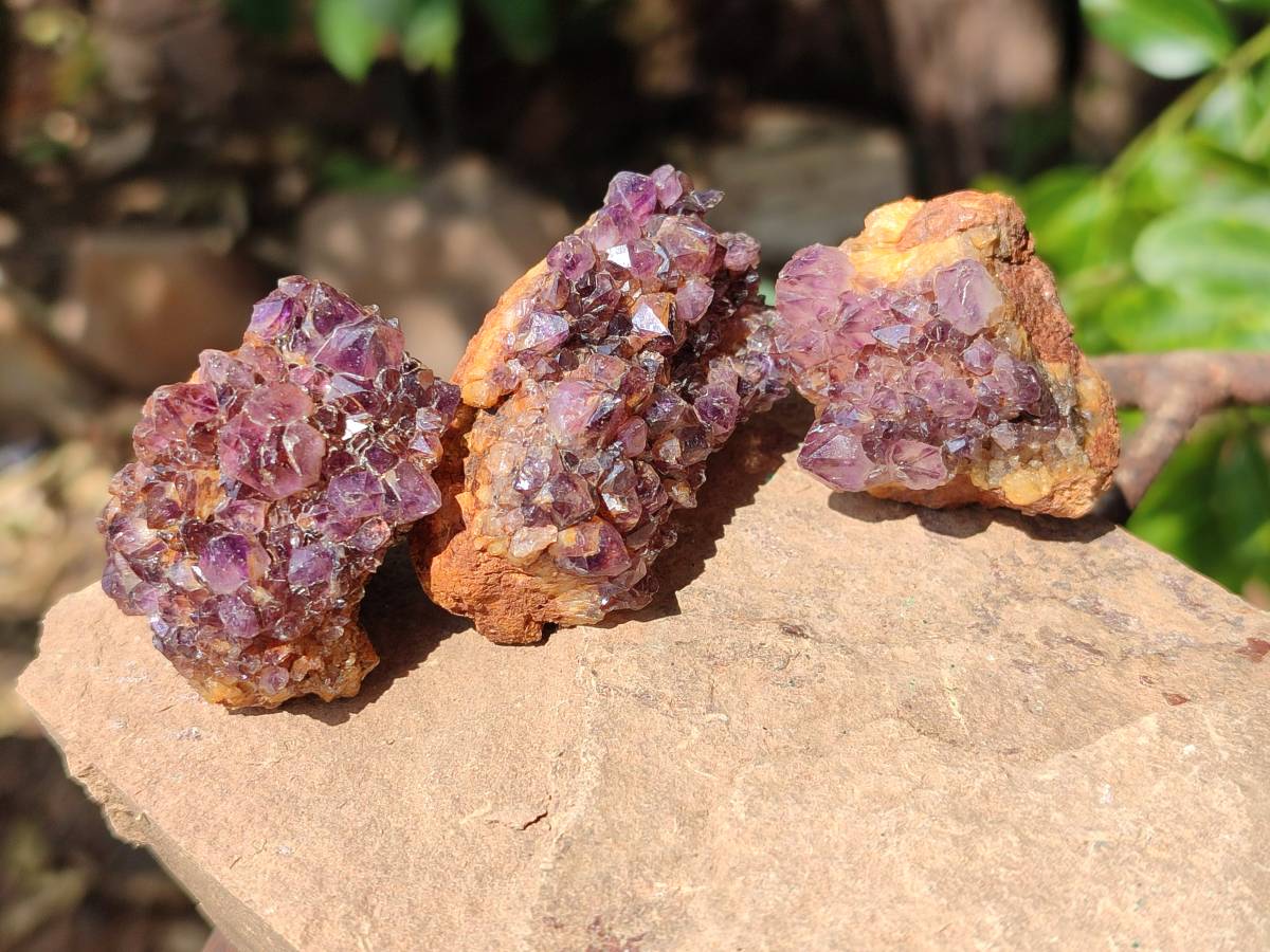 Natural Amethystos Amethyst Clusters x 35 From Kwaggafontein, South Africa - Toprock Gemstones and Minerals 