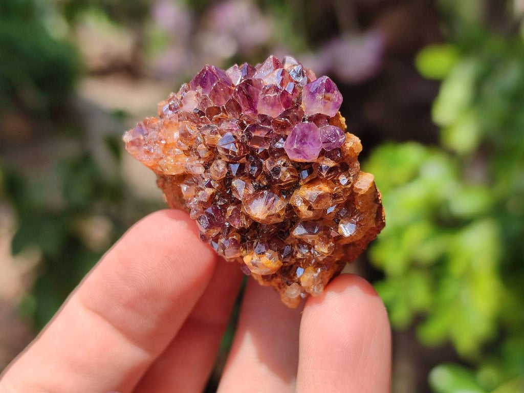 Natural Amethystos Amethyst Clusters x 35 From Kwaggafontein, South Africa - Toprock Gemstones and Minerals 