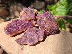 Natural Amethystos Amethyst Clusters x 35 From Kwaggafontein, South Africa - Toprock Gemstones and Minerals 