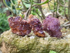 Natural Amethystos Amethyst Clusters x 35 From Kwaggafontein, South Africa - Toprock Gemstones and Minerals 