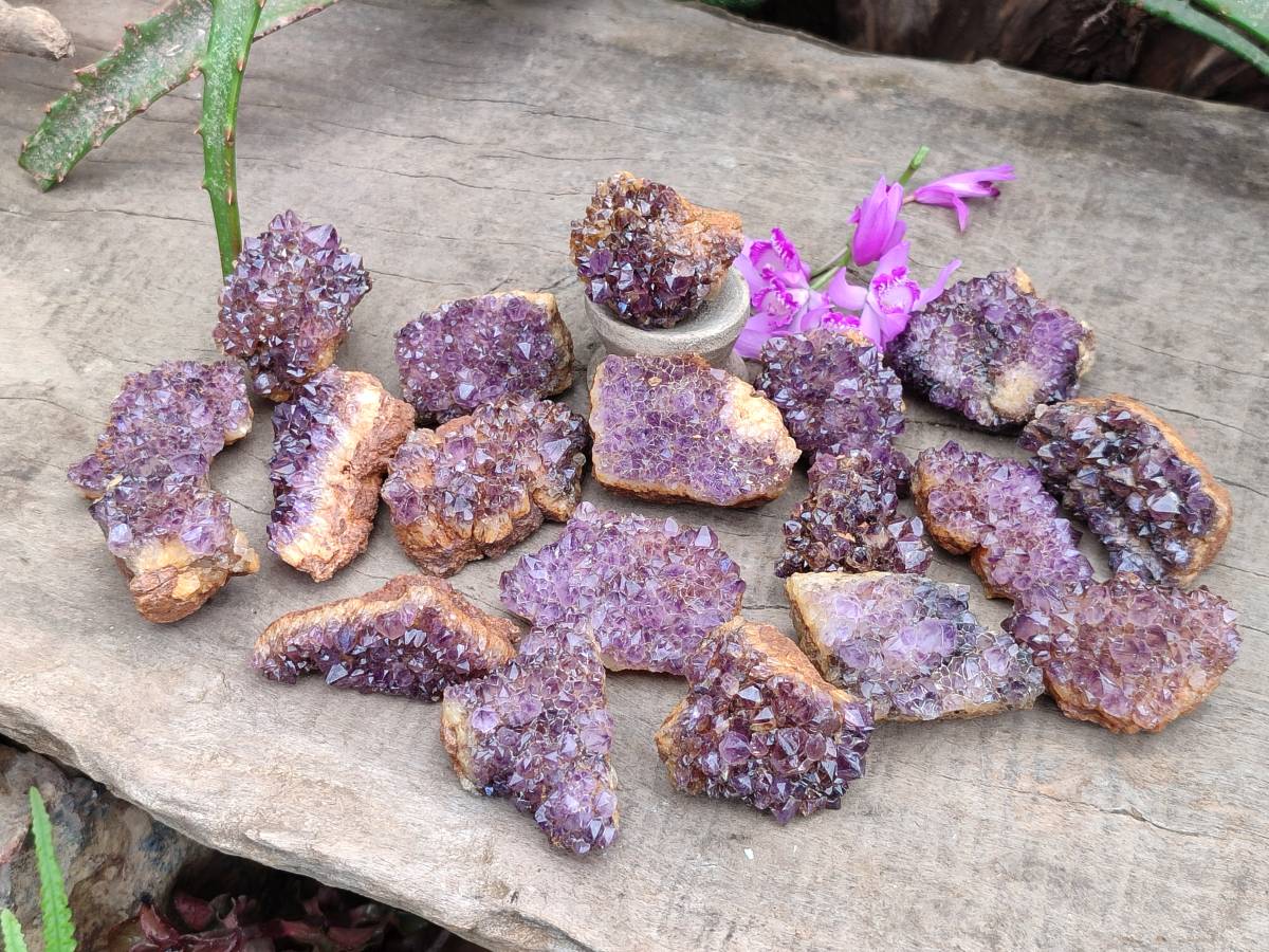 Natural Amethystos Amethyst Clusters x 35 From Kwaggafontein, South Africa - Toprock Gemstones and Minerals 
