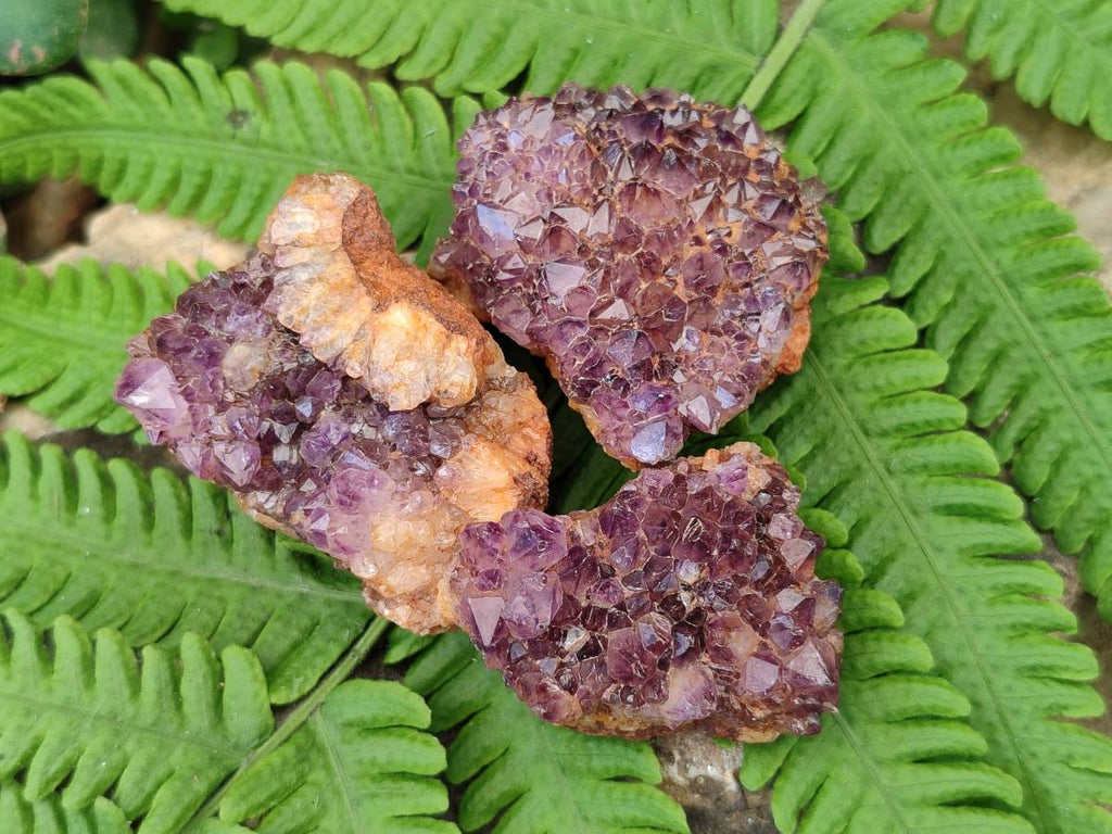 Natural Amethystos Amethyst Clusters x 35 From Kwaggafontein, South Africa - Toprock Gemstones and Minerals 