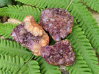 Natural Amethystos Amethyst Clusters x 35 From Kwaggafontein, South Africa - Toprock Gemstones and Minerals 