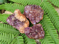 Natural Amethystos Amethyst Clusters x 35 From Kwaggafontein, South Africa - Toprock Gemstones and Minerals 